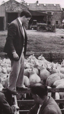 JIm, getleman farmer entre 2 Grand Prix...